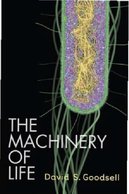 The Machinery of Life. (Copernicus Books PUBLISHERS)